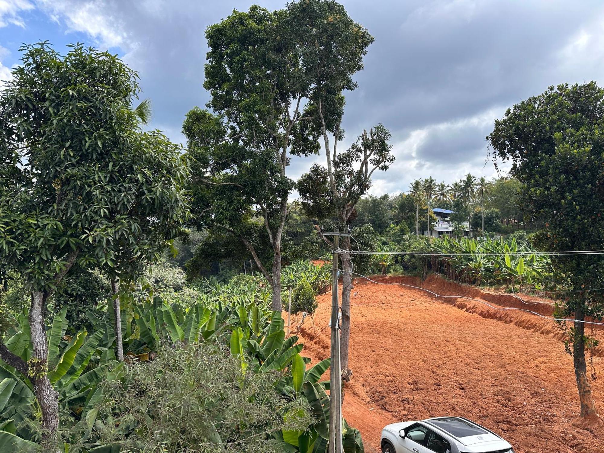Kattil Farm Stay Varkala Thiruvananthapuram Esterno foto