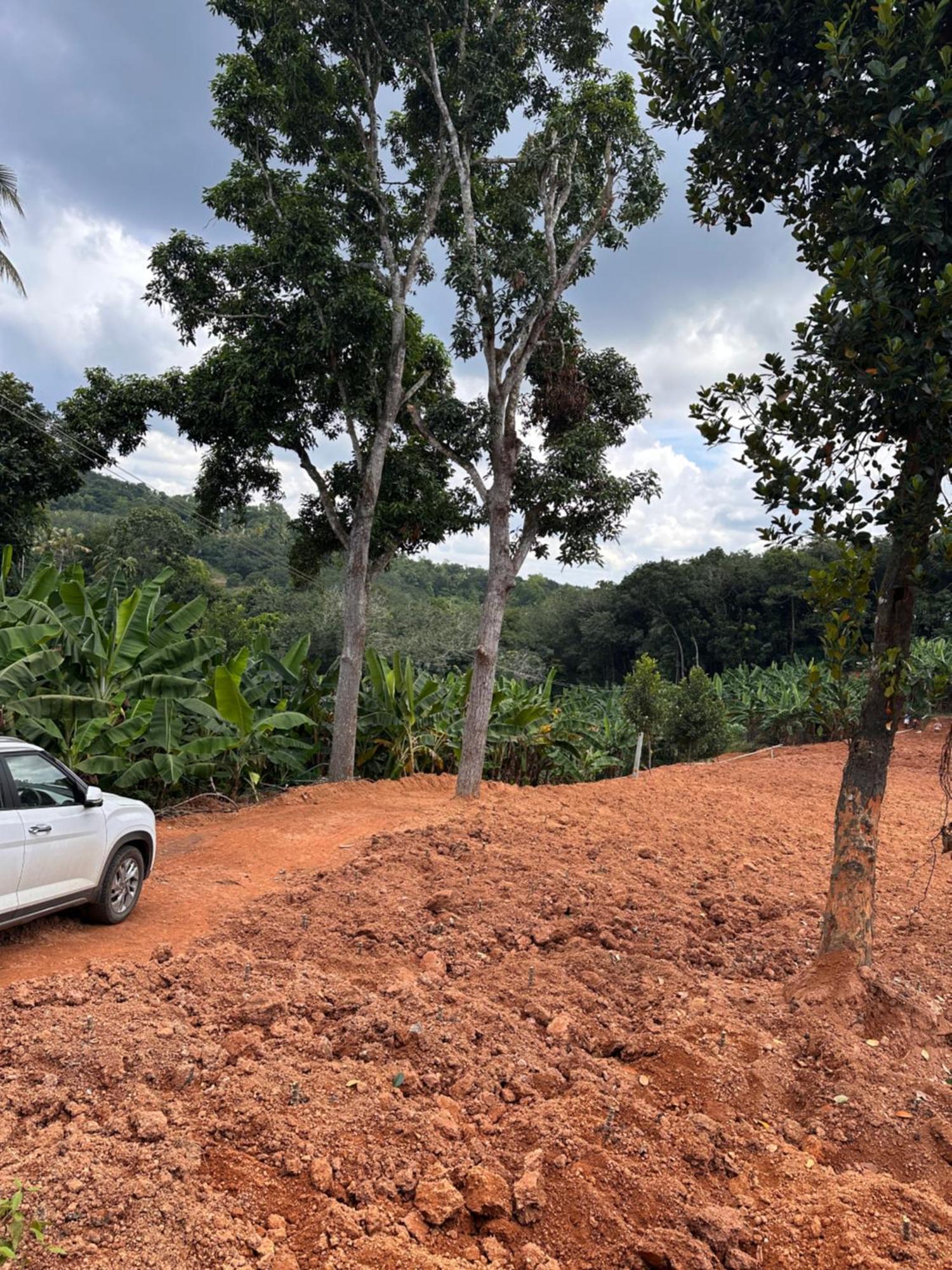Kattil Farm Stay Varkala Thiruvananthapuram Esterno foto